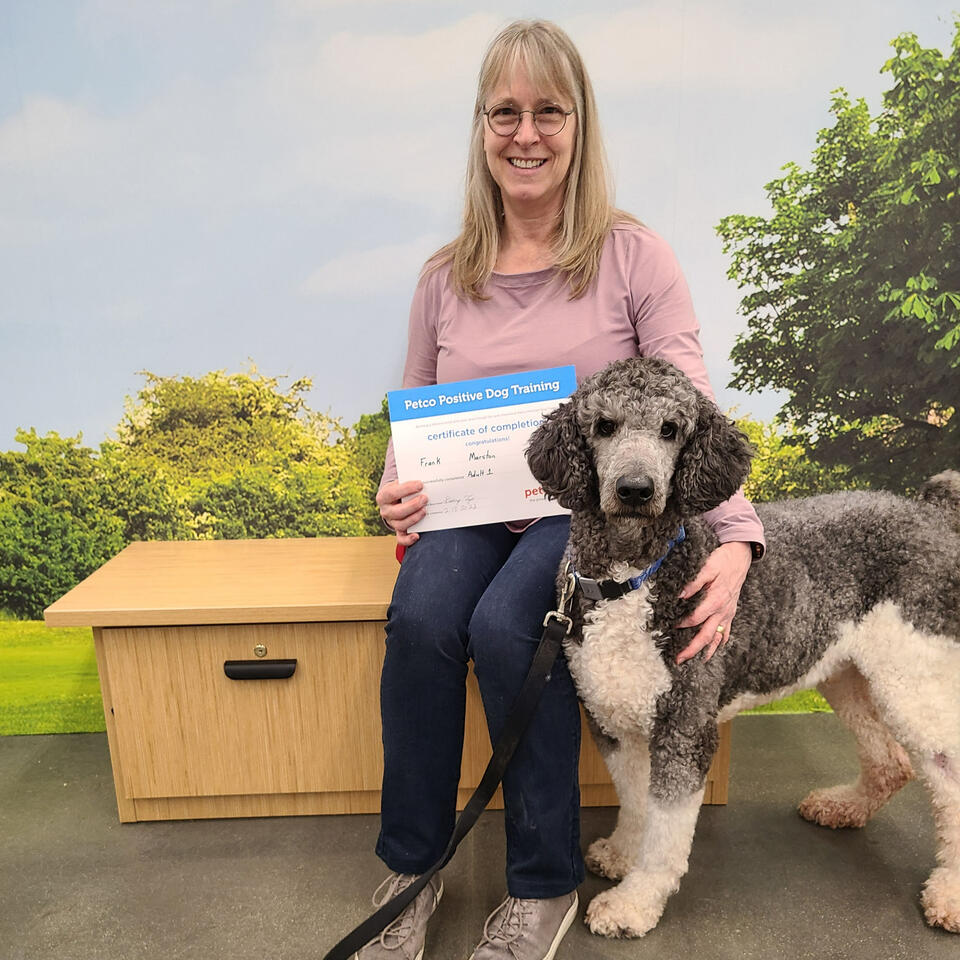 Our Vice President Tracy in our shop with one of the rescue dogs
